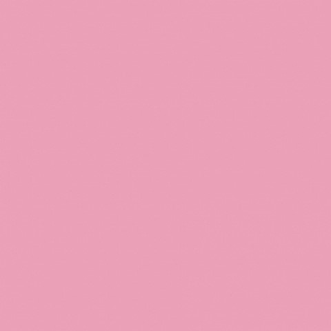 Смесь для окрашивания жидкая малиновая (розовая) 100 г Россия СоюзПищеПром